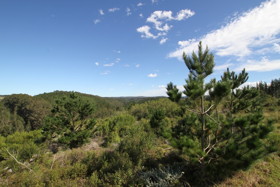 0 Bedroom Property for Sale in Plettenberg Bay Rural Western Cape